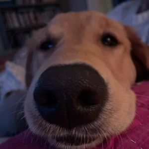 Meet your Posher, Fiona